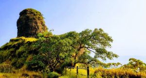 Karnala Fort
