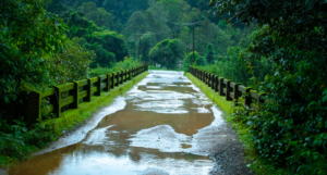 Lonavala rain