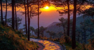 Lover’s Lane Kasauli