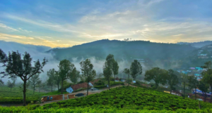 Monsoon in Ooty
