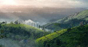 Munnar