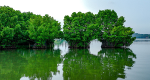 Munroe Island