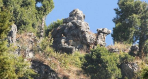 Mussoorie- Camel's Back Road
