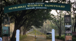 Netravali Wildlife Sanctuary