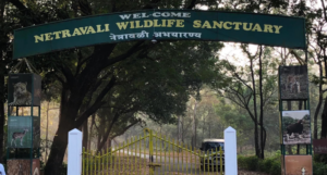 Netravali Wildlife Sanctuary