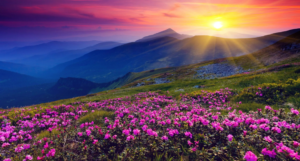 Ooty – The Queen of Hill Stations