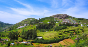 Ooty