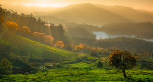 Ooty in summers