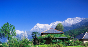 Palampur