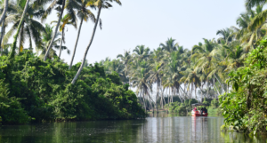Poovar