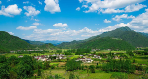 Ranikhet_ A Peaceful Mountain Escape