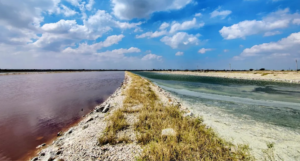 Sambhar Lake
