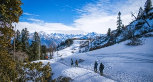 Snow View Point