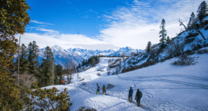 Snow View Point