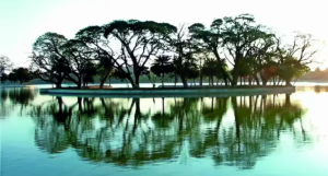 Ulsoor Lake