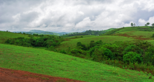Vagamon