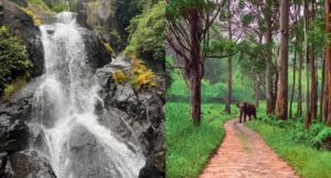 Waterfalls and Forest Trails in Wayanad