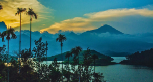Wayanad