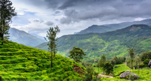 Wayanad