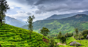 Wayanad