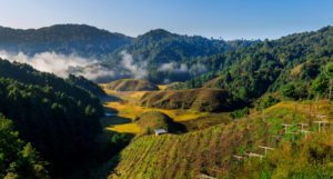 Ziro Valley