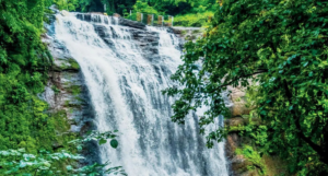 ashoka waterfall