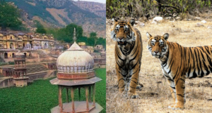 Alwar & Sariska, Rajasthan