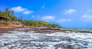 Anjuna Beach