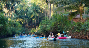 Arpora backwaters