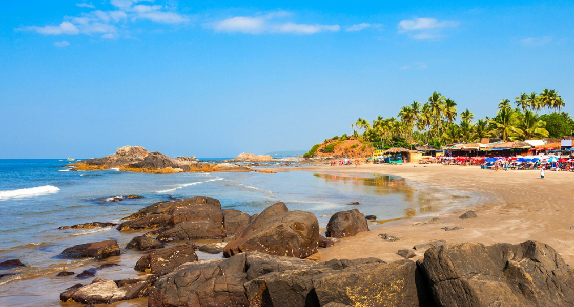 Things to Do in Assagao: cafes, Culture & Hidden Gems