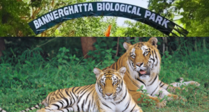 Bannerghatta Biological Park