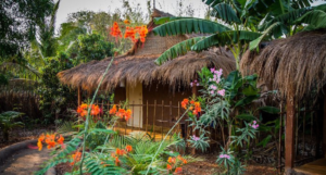 Banyan Tree Yoga