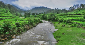 Binsar monsoon