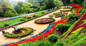 Botanical Garden
