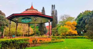 Cubbon Park