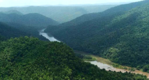 Dandeli