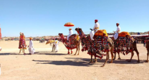 Desert Safari Experience