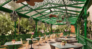 Gardens and Cafes of Bengaluru
