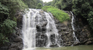 Honnamana Kere Falls coorg