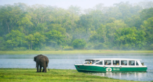 Kabini