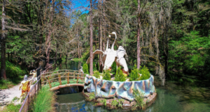 Kilbury Bird Sanctuary