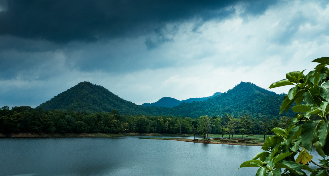 Kochi in Monsoon: Best Places to Visit & Things to Do