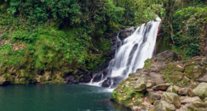 Kollam waterfalls
