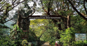 Mangalavanam Bird Sanctuary