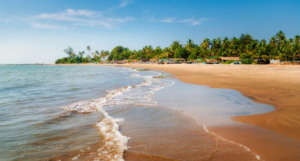 Morjim Beach