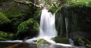 Mossy Falls
