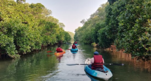 Nerul River Backwaters