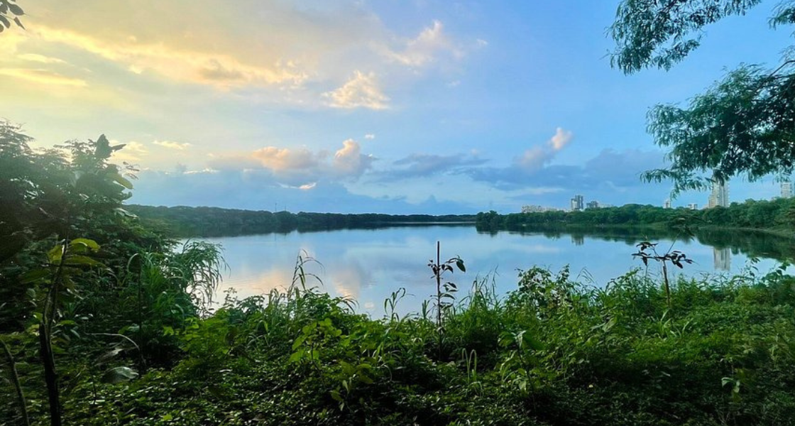 Things to Do in Nerul: Explore Beaches, Forts & Hidden Gems