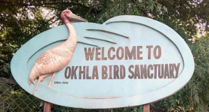 Okhla Bird Sanctuary