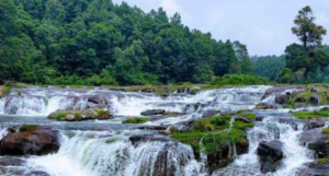 Ooty waterfalls